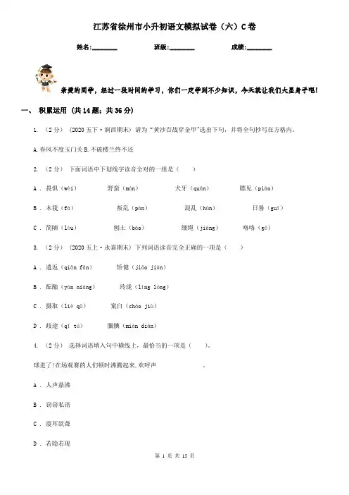 江苏省徐州市小升初语文模拟试卷(六)C卷