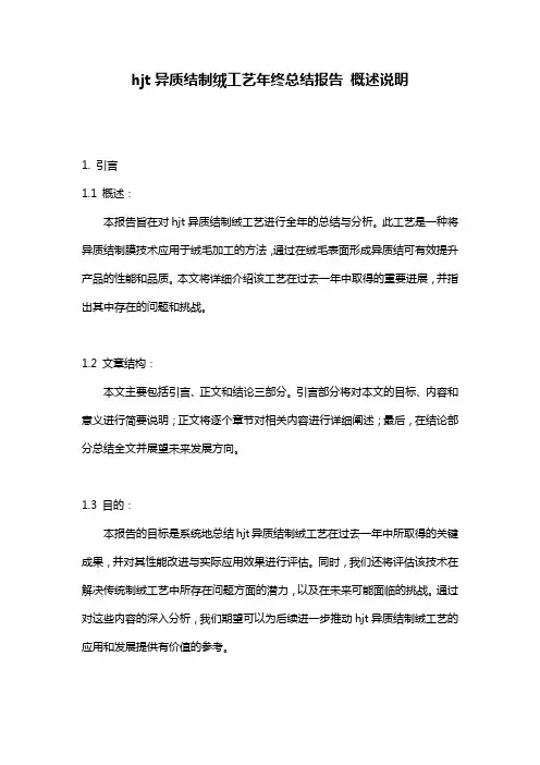 hjt异质结制绒工艺年终总结报告_概述说明