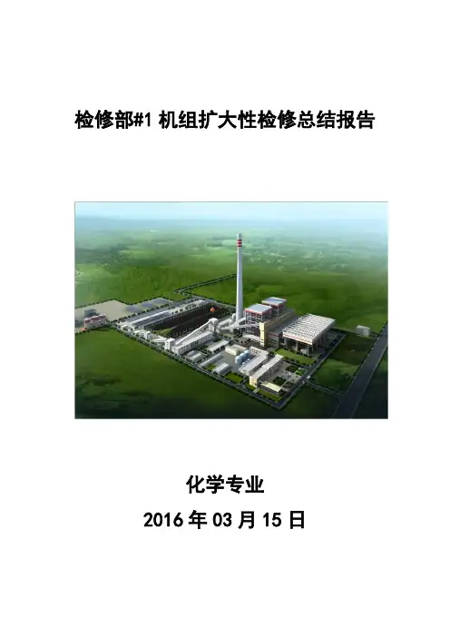 1机组扩大性检修总结报告化学专业剖析