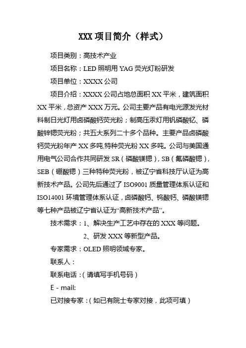 XXX项目简介样式