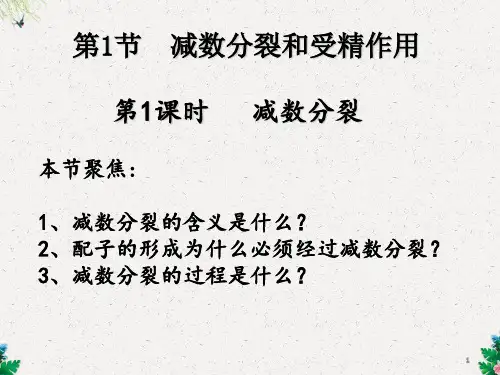 第1节   减数分裂和受精作用  54PPT