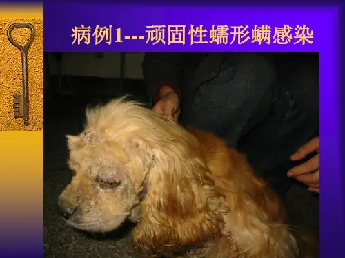 临床皮肤病病例分析