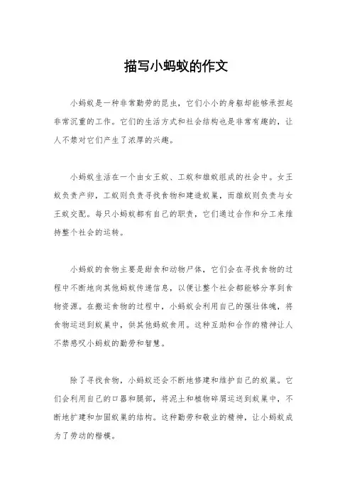 描写小蚂蚁的作文