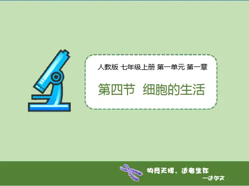 最新人教版初中七年级生物上册《第四节细胞的生活》精品教学课件