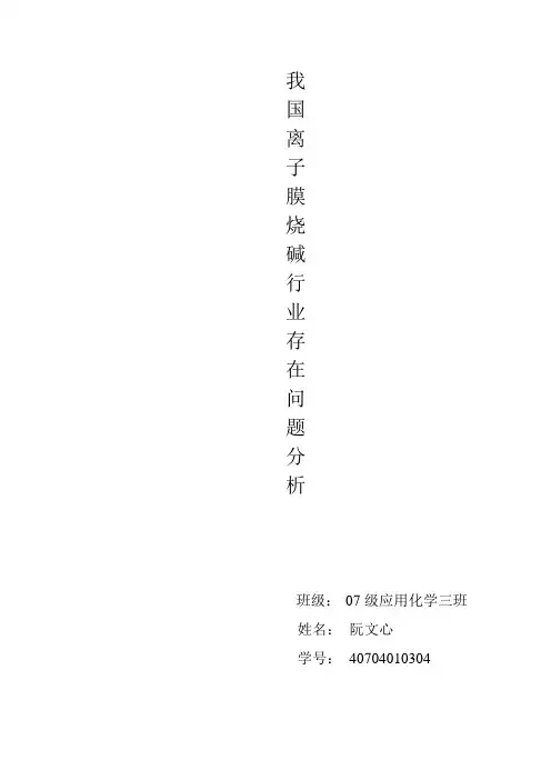 我国离子膜制烧碱行业存在问题分析