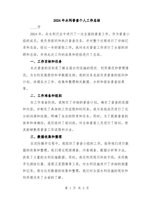 2024年水利普查个人工作总结