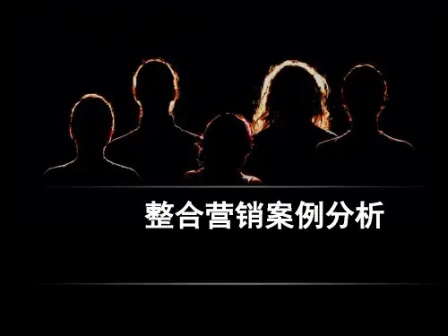 广告学-整合营销分析(含案例分析)