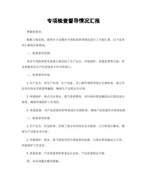专项检查督导情况汇报