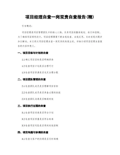 项目经理自查一岗双责自查报告(精)