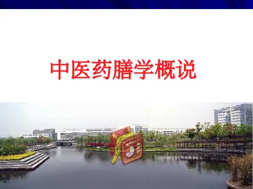 中医药膳学(精编)ppt课件