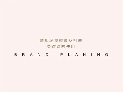 暗视场和相差显微镜