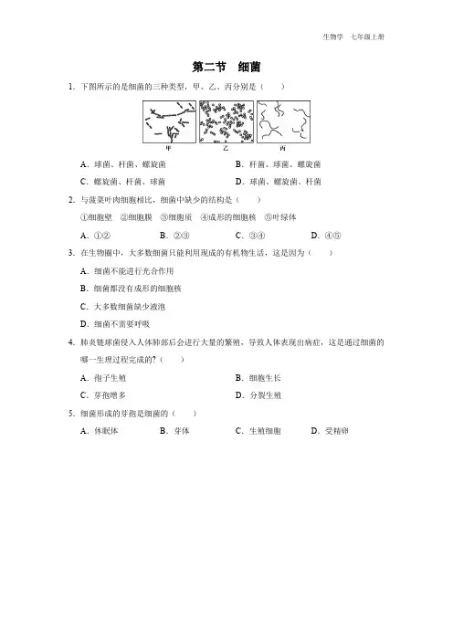七年级-人教版(2024新版)-生物-上册-[基础诊断]初中生物学-七年级上册-第三章第二节-细菌