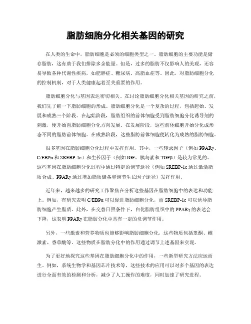 脂肪细胞分化相关基因的研究