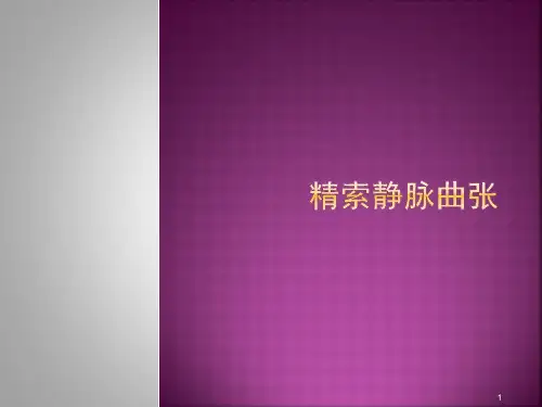 精索静脉曲张ppt课件