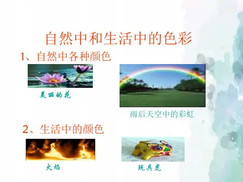 教科版-物理-八年级上册-4.8走进彩色世界课件