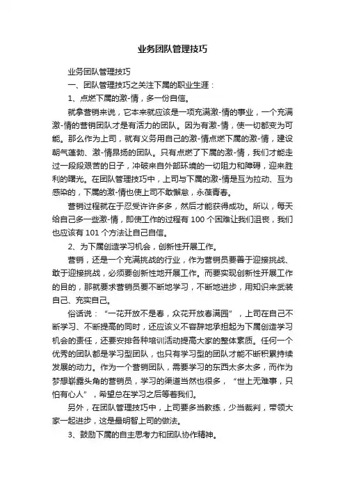 业务团队管理技巧