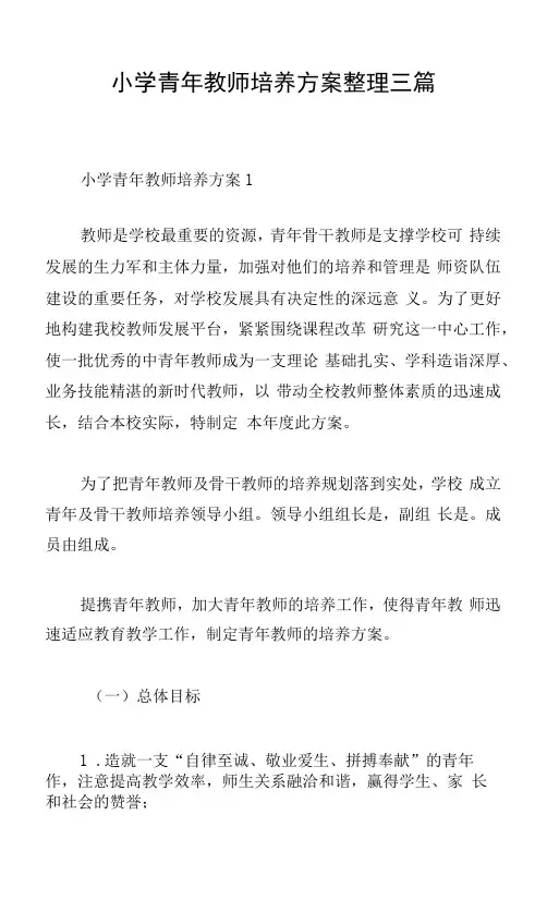 小学青年教师培养方案三篇