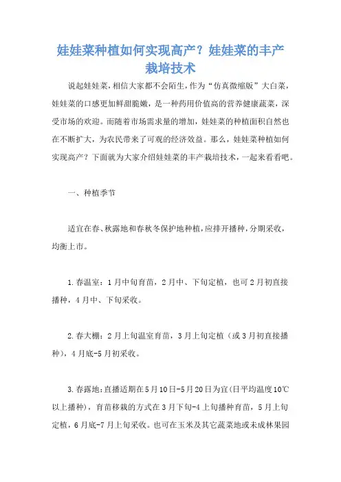 娃娃菜种植如何实现高产？娃娃菜的丰产栽培技术