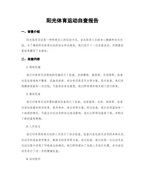 阳光体育运动自查报告