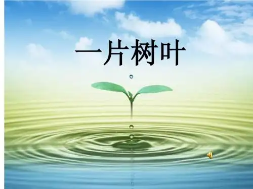 一片树叶课件