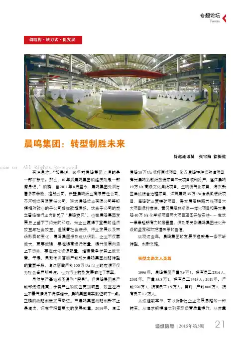 晨鸣集团：转型制胜未来