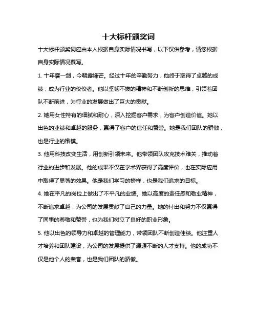 十大标杆颁奖词