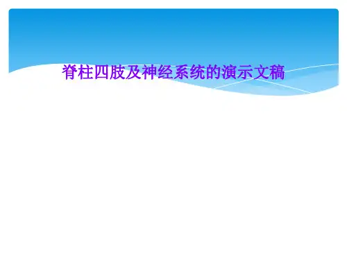 脊柱四肢及神经系统的演示文稿