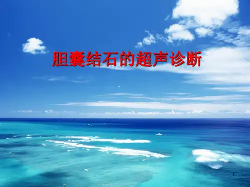 胆囊结石的超声诊断ppt课件
