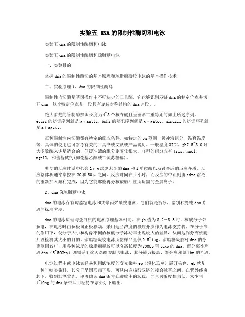 实验五 DNA的限制性酶切和电泳