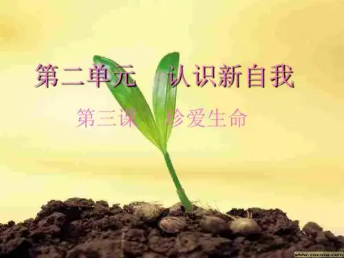 〔人教版〕世界因生命而精彩 教学PPT课件26