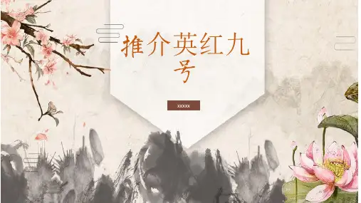 推介英红九号