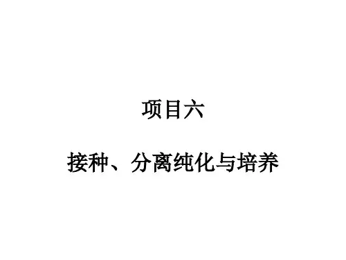 微生物 接种、分离纯化与培养