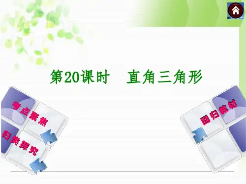 湘教版中考数学复习课件(第20课时直角三角形)