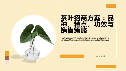 茶叶招商方案与销售策略PPT模板