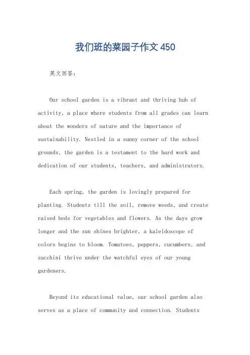 我们班的菜园子作文450