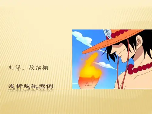 浅析越轨案例