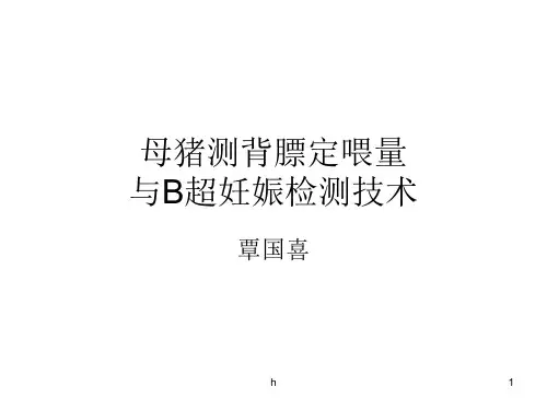 母猪测背膘定喂量与B超妊娠检测技术