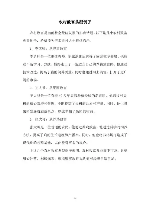 农村致富典型例子