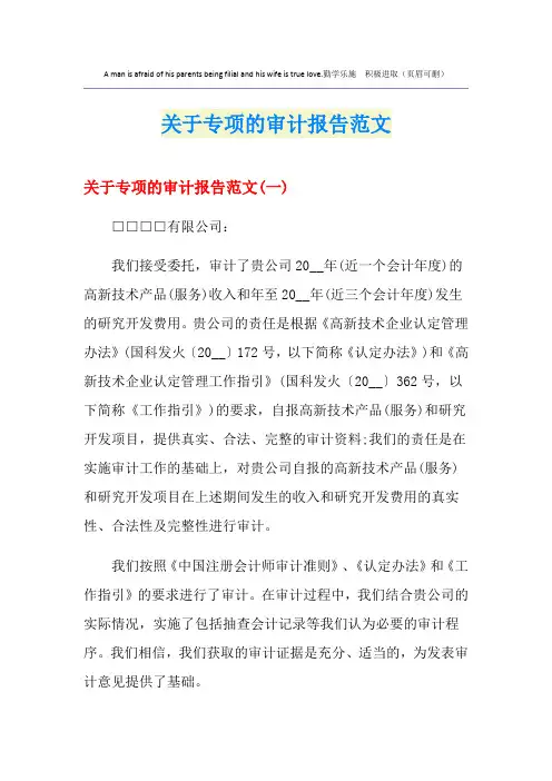 关于专项的审计报告范文