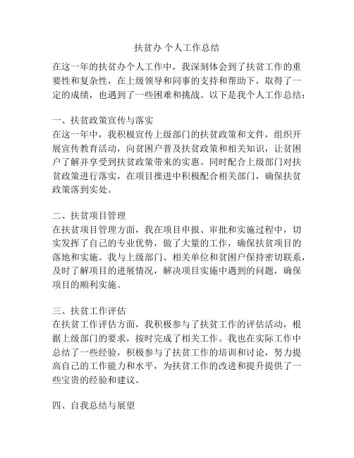 扶贫办 个人工作总结