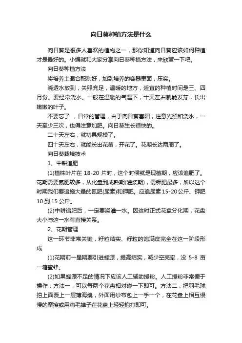 向日葵种植方法是什么
