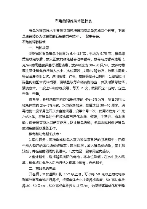 石龟的饲养技术是什么