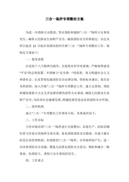 三合一场所专项整治方案