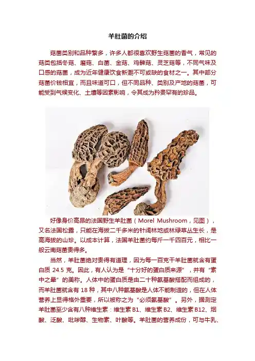 羊肚菌的介绍