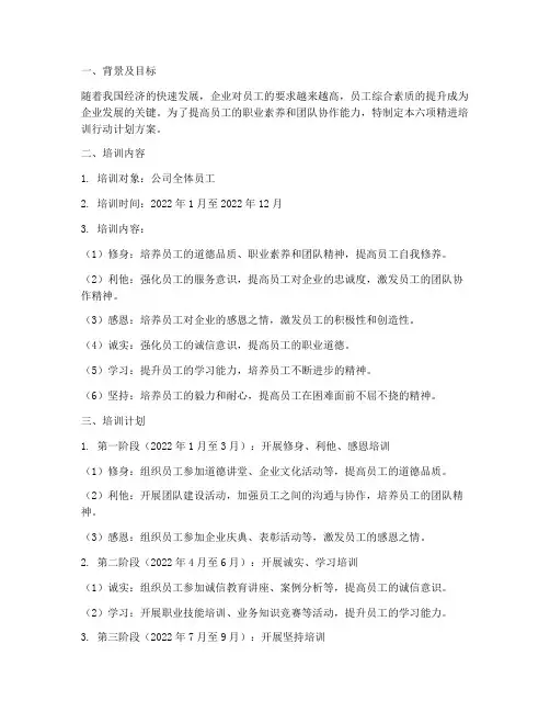 六项精进培训行动计划方案