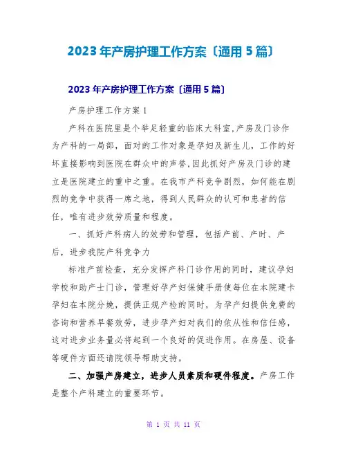 2023年产房护理工作计划(通用5篇)
