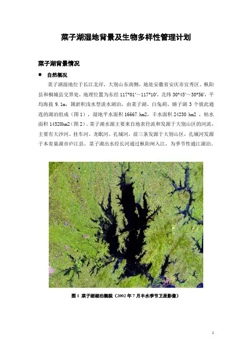 菜子湖湿地背景及生物多样性管理计划