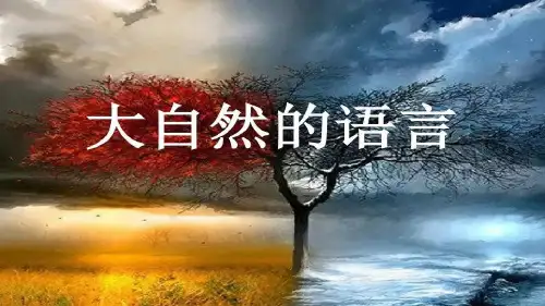 统编版初中语文八年级下册第5课《大自然的语言》课件(共36张PPT)