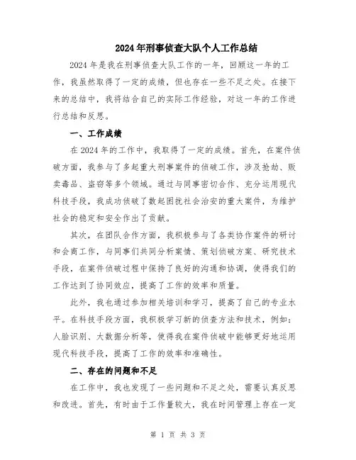 2024年刑事侦查大队个人工作总结