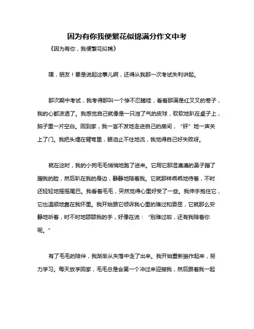 因为有你我便繁花似锦满分作文中考